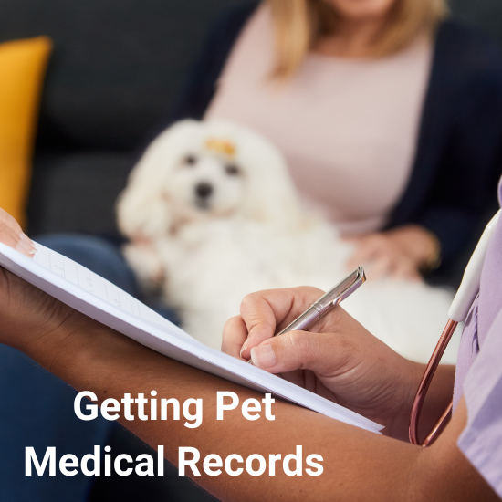 Getting My Pet's Medical Records PetHub